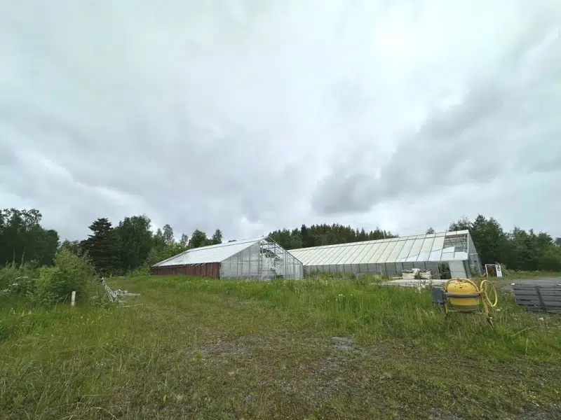Other in Krokom