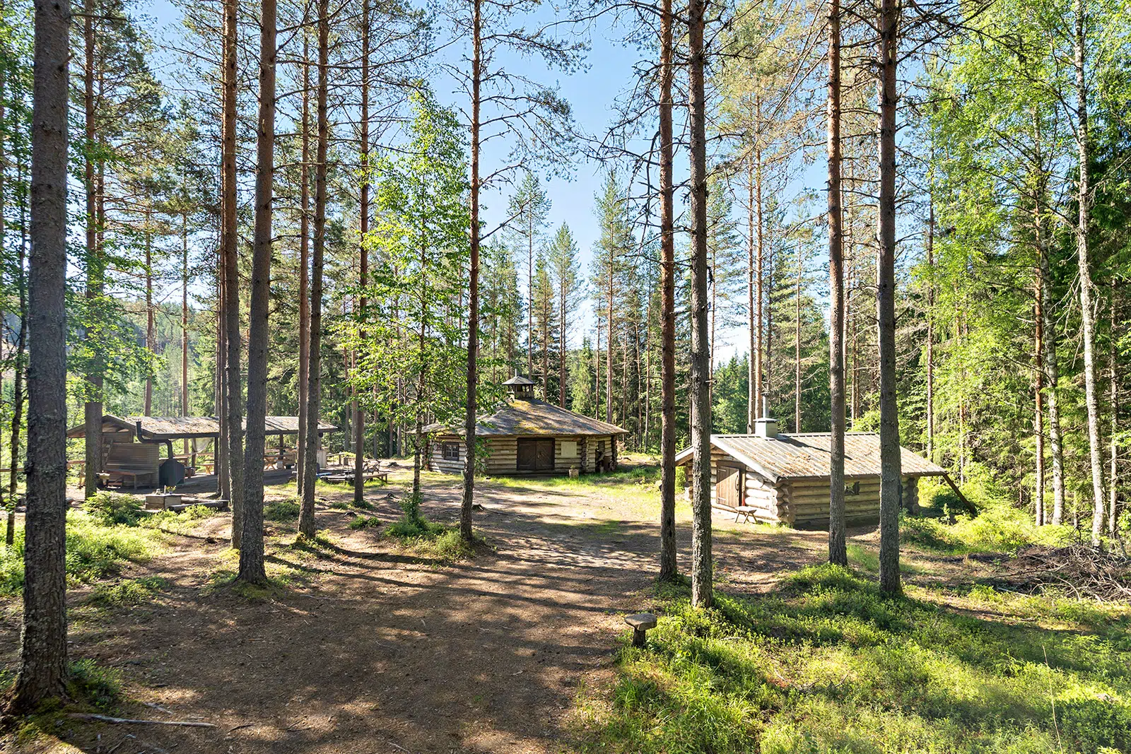 Bild 1 av 21 på Vildmarksbyn Eden