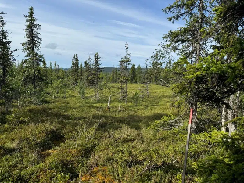 Tomt / mark i Härjedalen