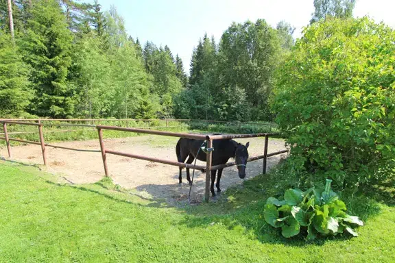 Lägenhet