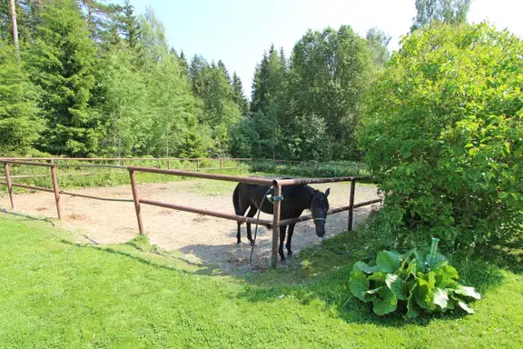 Bild 1 av 1 på Nyhemsgatan 16