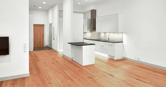 Apartment, 2 rooms, 55 m²