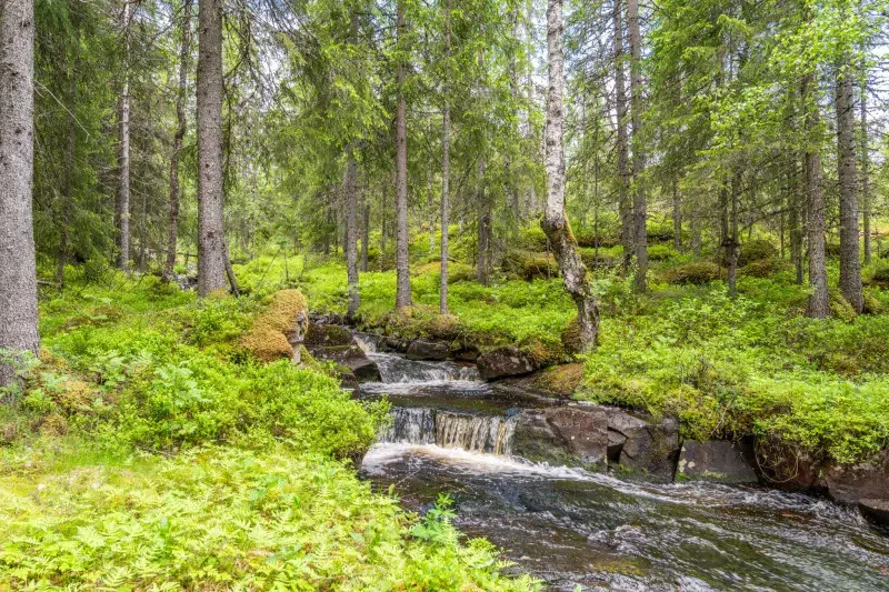 Land / plot, 1823 m² in Malung-Sälen