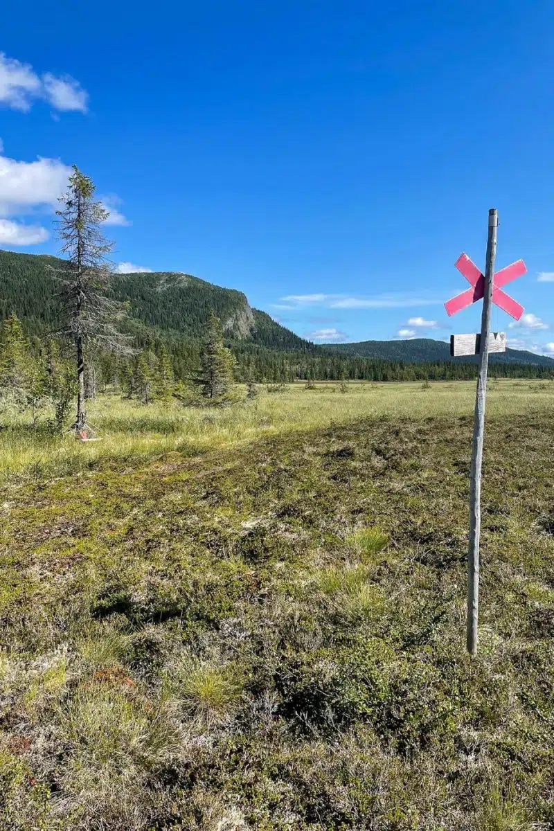 Tomt / mark i Matsdal