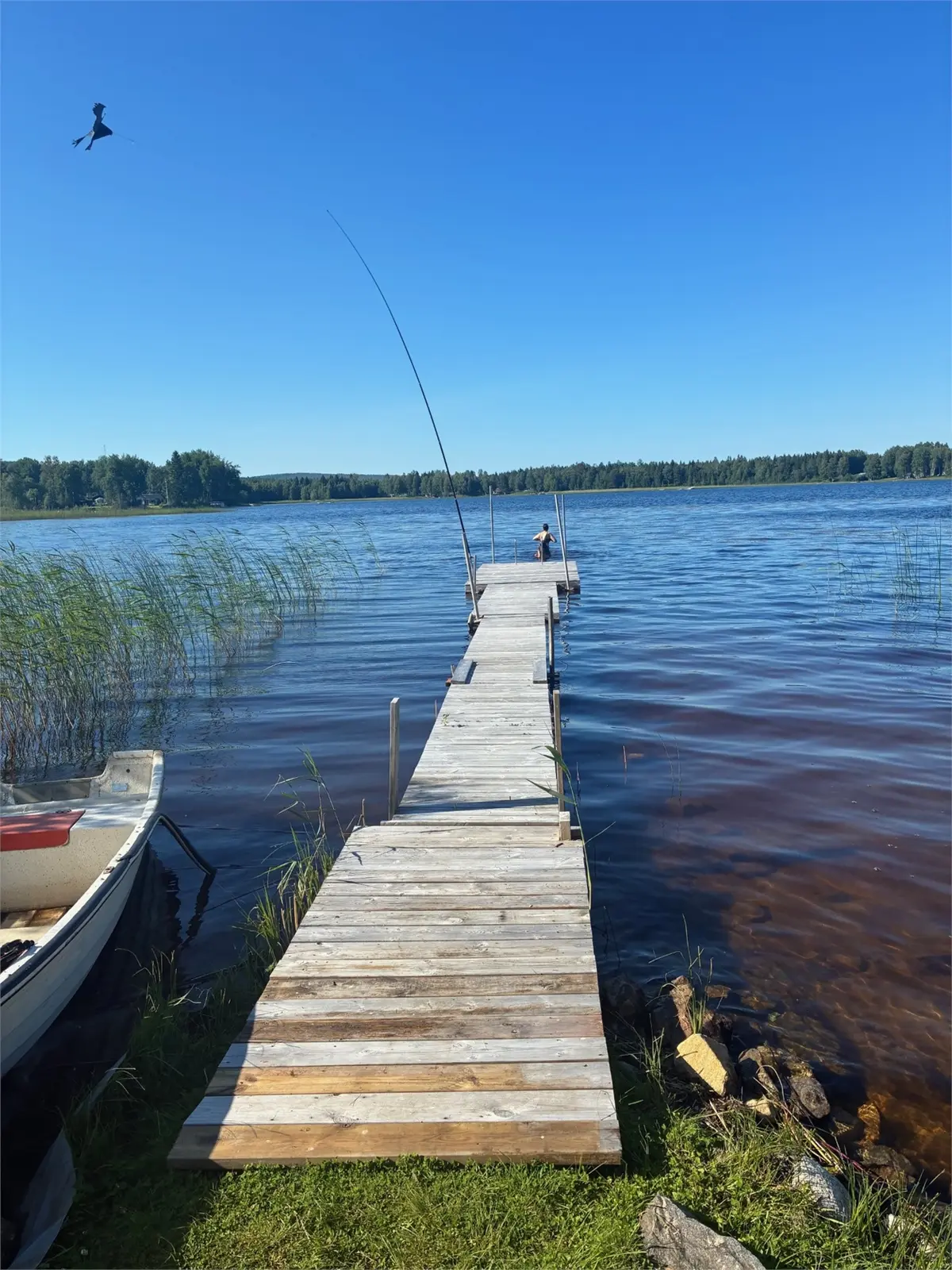Bild 1 av 1 på Årskogen 421