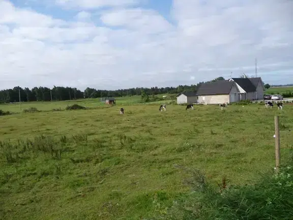 Lägenhet
