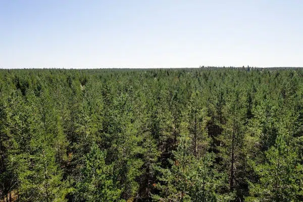 Bild 1 av 12 på Malå Hundberg - Tjärnberg