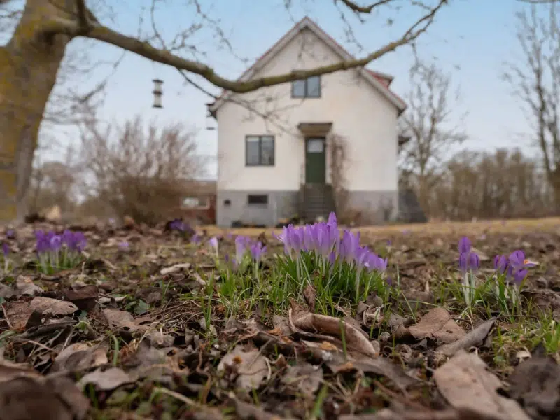 Villa, 4 rum, 95 m² i Gotland