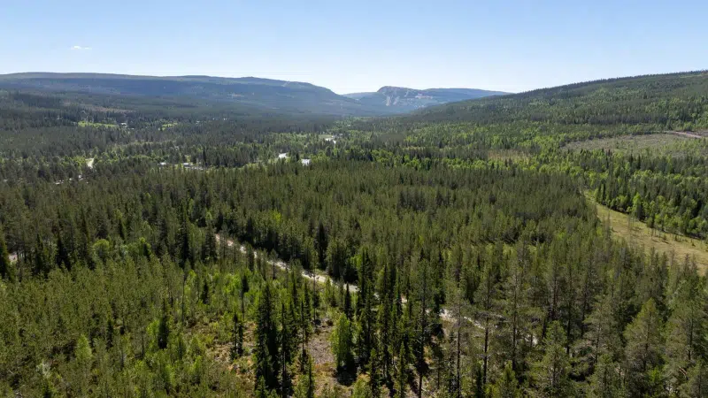 Tomt / mark, 858 m² i Hela Sverige