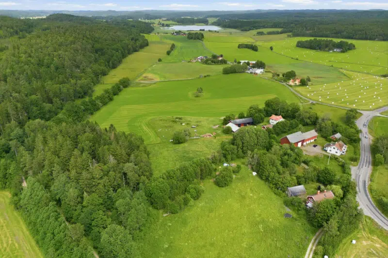 Land / plot