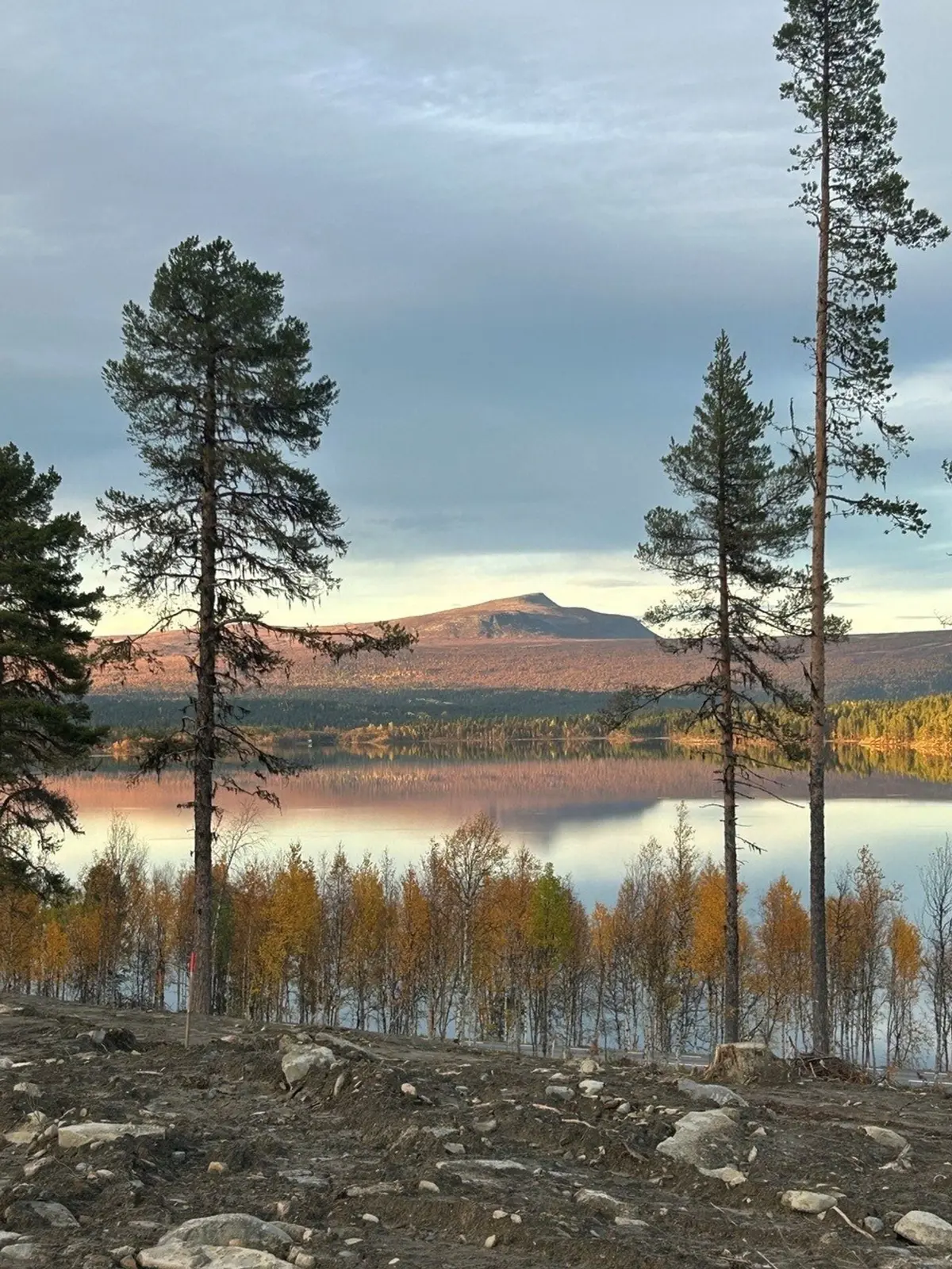 Bild 1 av 6 på Jäckvik