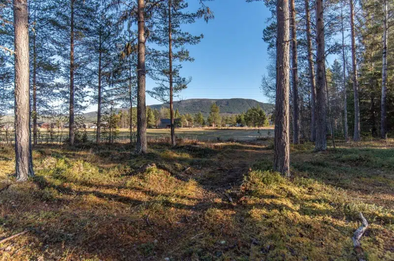 Tomt / mark i Härjedalen