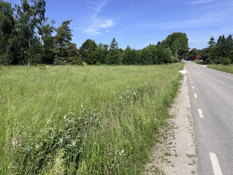 Land / plot