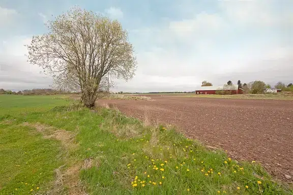 Lägenhet