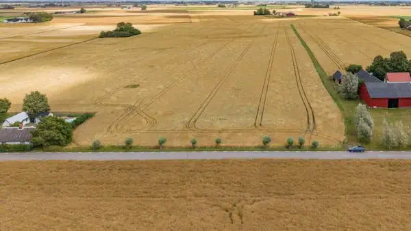 Farm