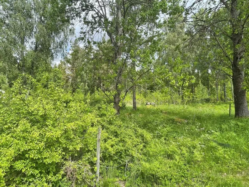 Tomt / mark, 180 m² i Tingsryd