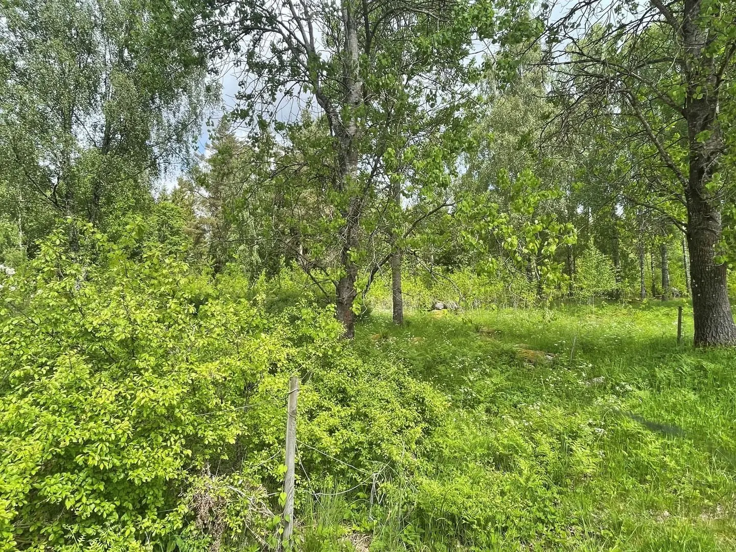 Image 1 of 8 of Stenfors
