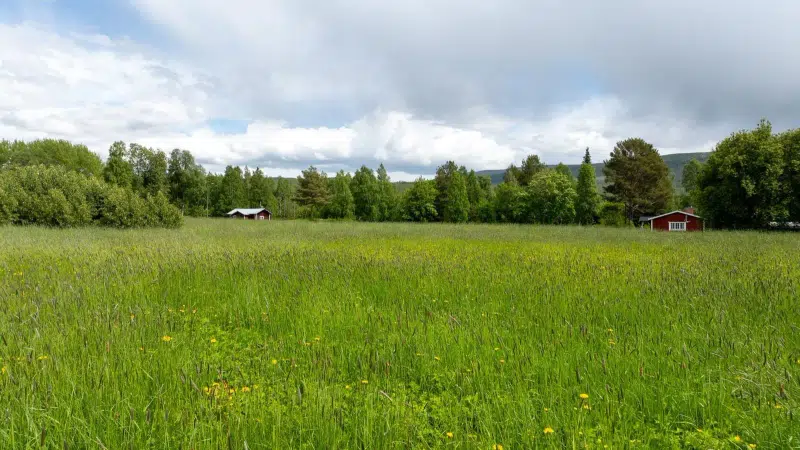Land / plot in Härjedalen