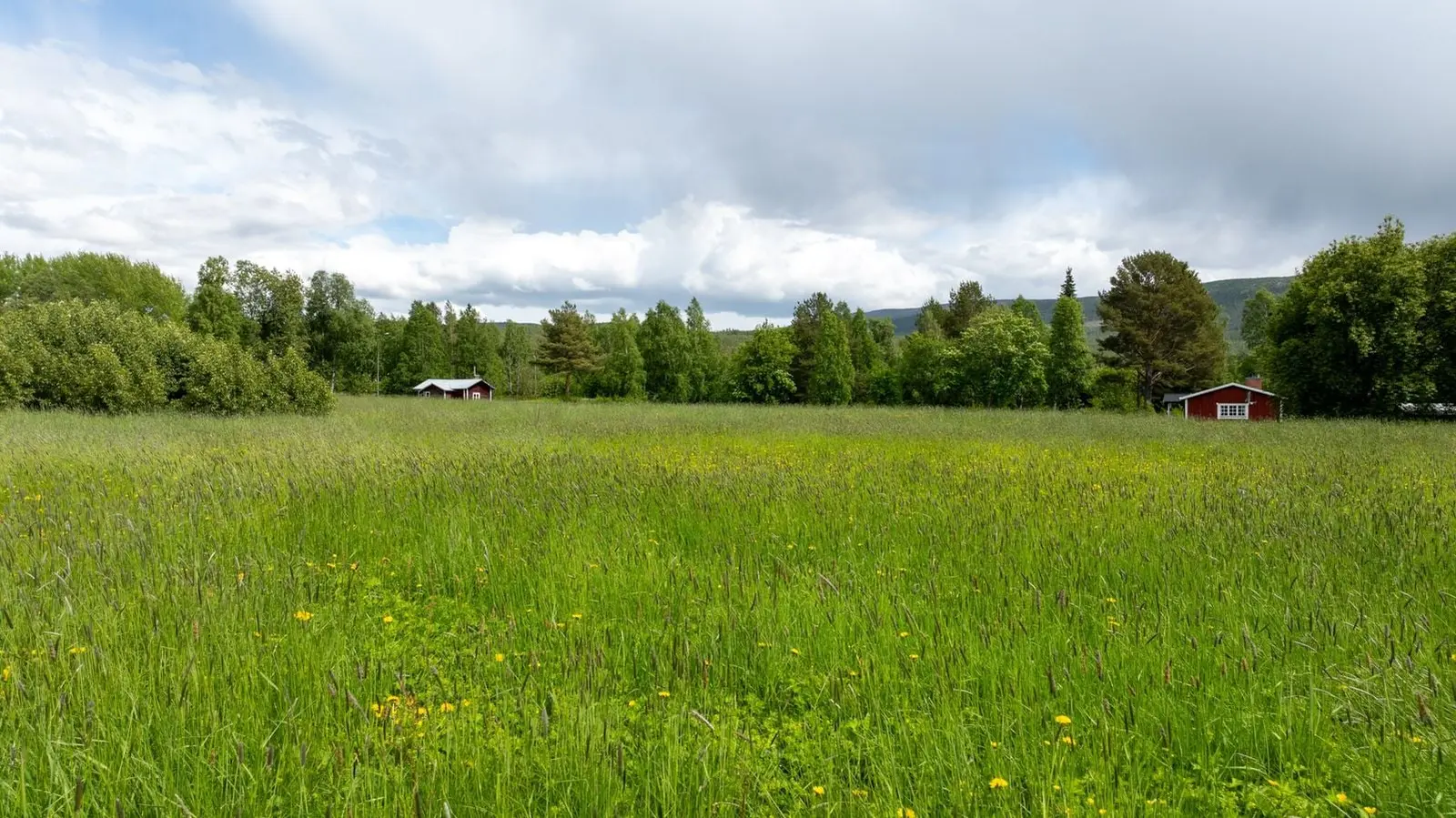 Image 1 of 12 of Risgränd 5