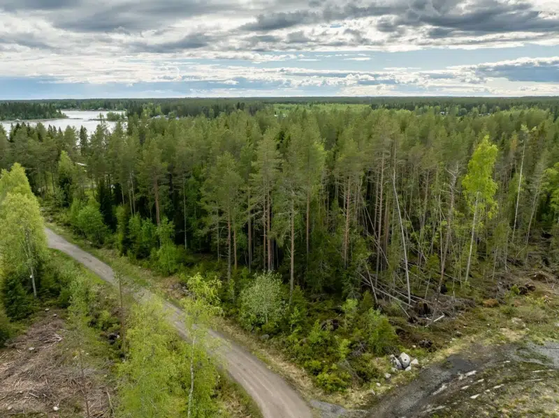 Land / plot in Robertsfors