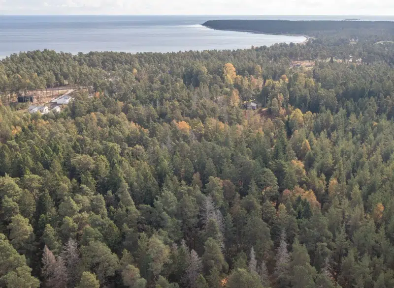 Lägenhet i Gotland