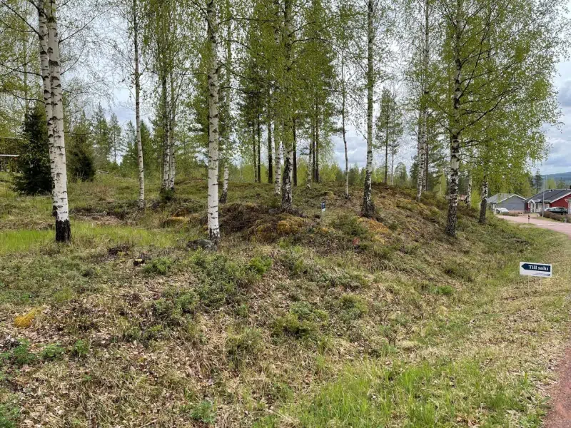 Land / plot in Älvdalen