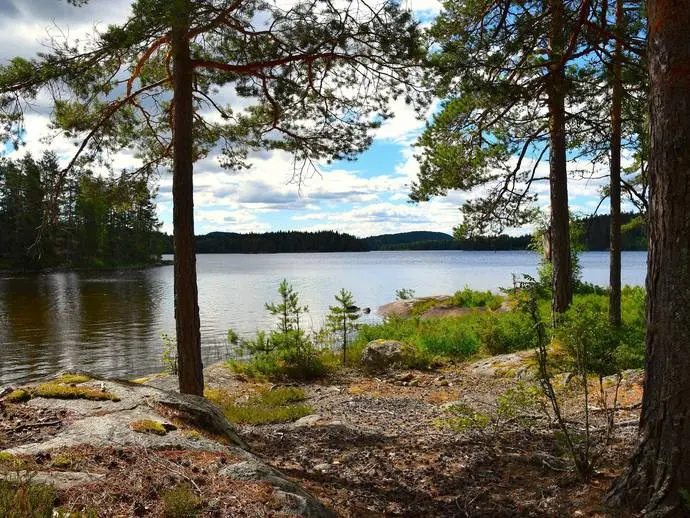 Bild 1 av 21 på Tömte