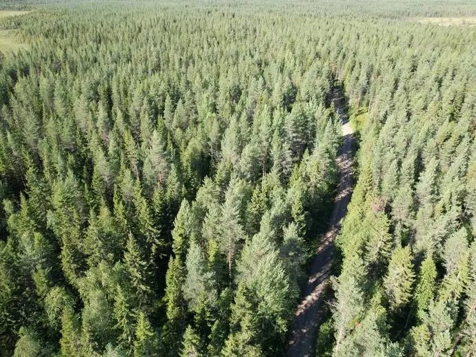 Image 1 of 11 of Nedre Vojakkala