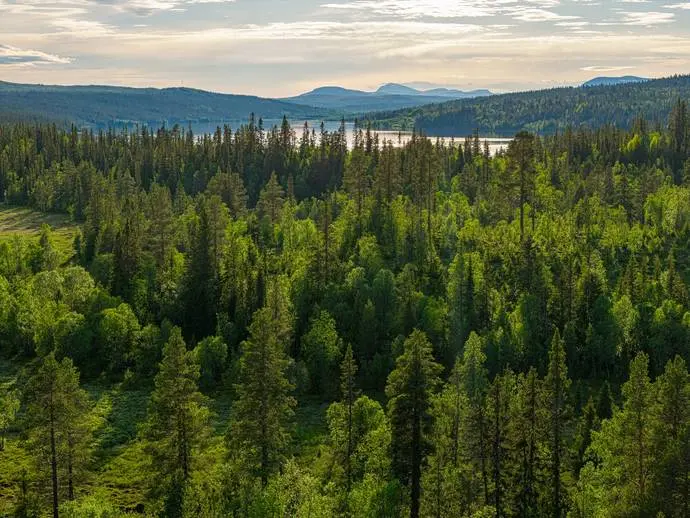 Bild 1 av 13 på Messlingen