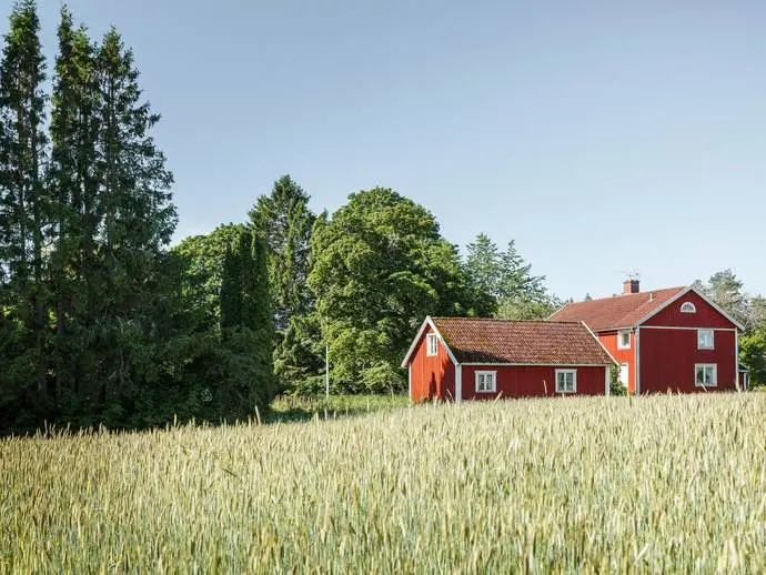 Bild 1 av 21 på Vireda-Kopparp