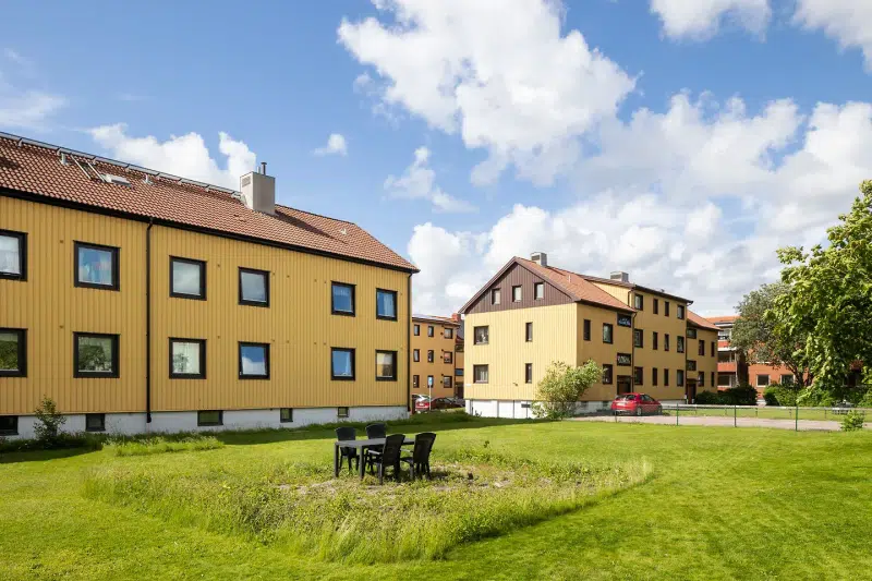 Apartment, 1 room, 19 m² in Ale