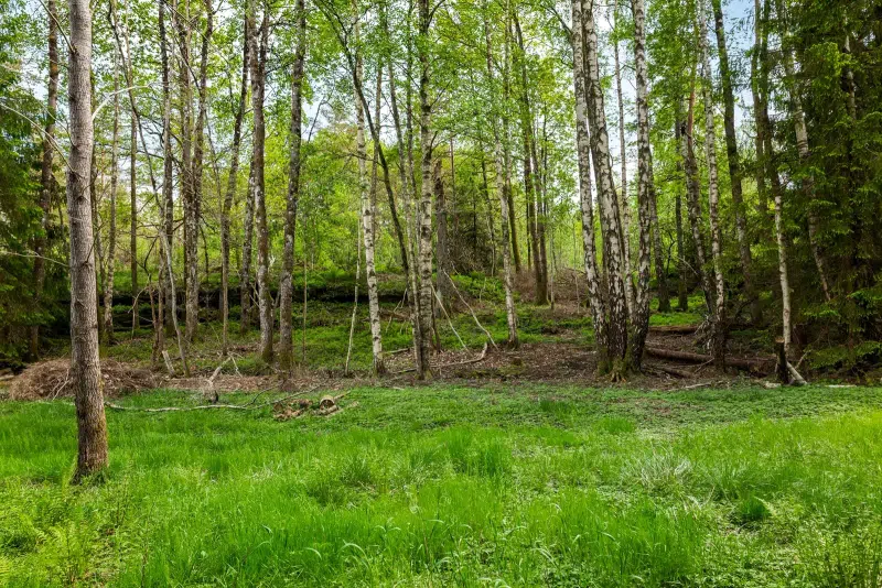 Land / plot in Orust