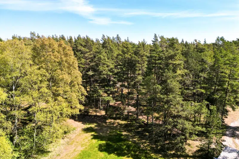 Land / plot in Gotland