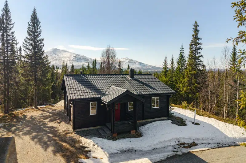 Holiday home, 4 rooms, 80 m² in Åre