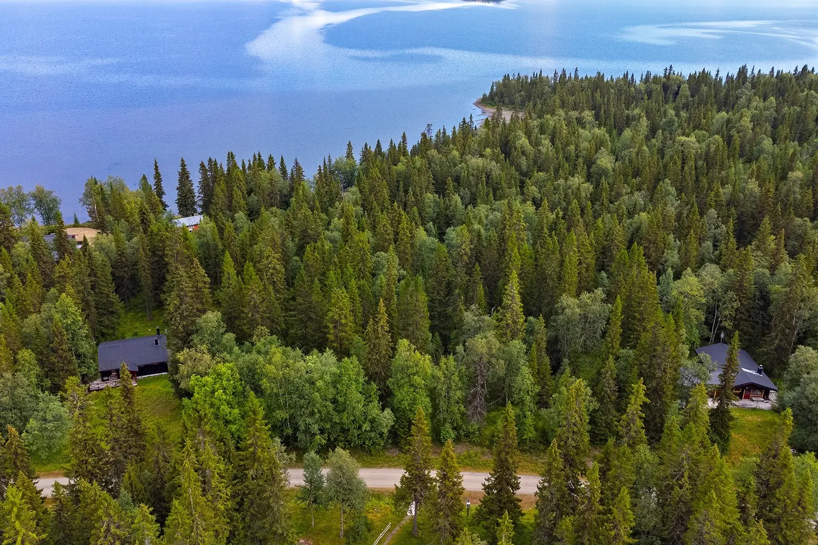 Image 1 of 6 of Tångböle