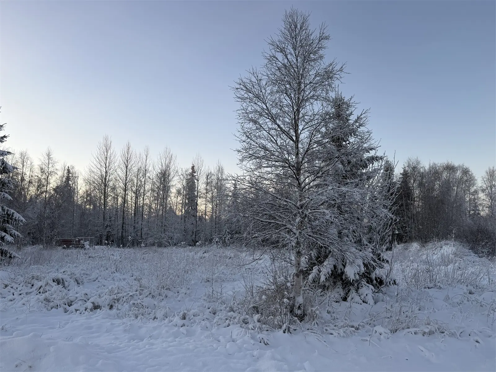 Bild 1 av 6 på Pellinpää 79