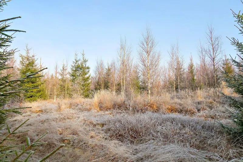 Land / plot in Härryda
