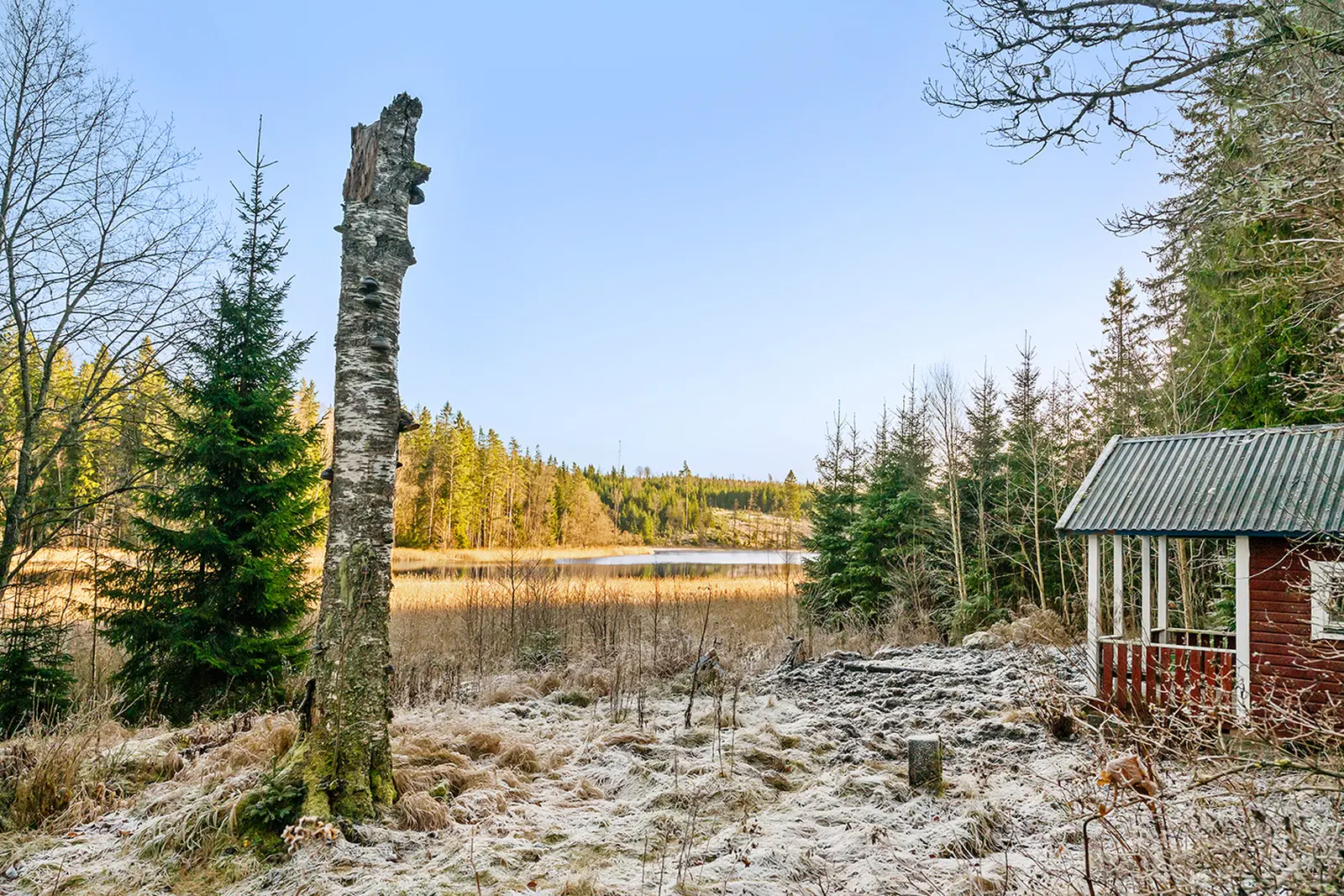 Image 1 of 6 of Botjärn 4