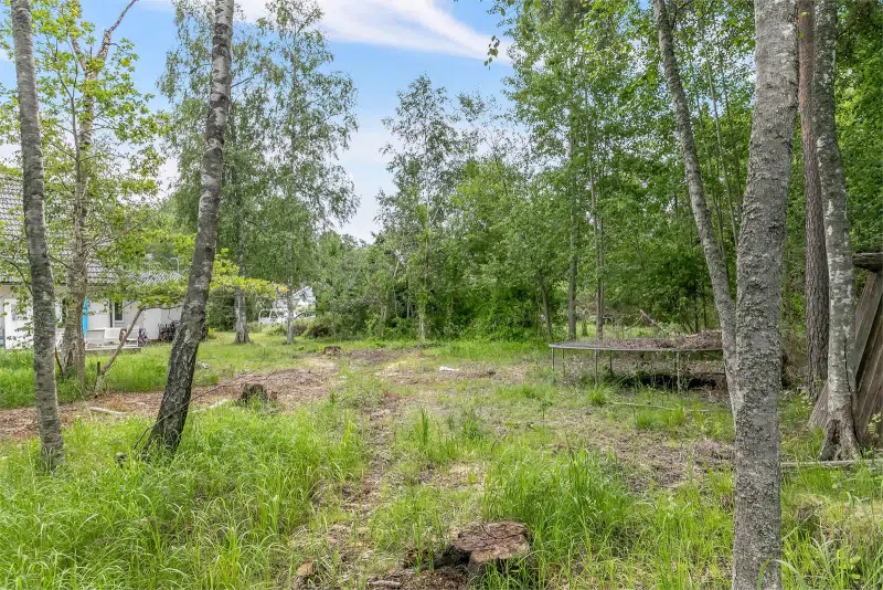 Land / plot