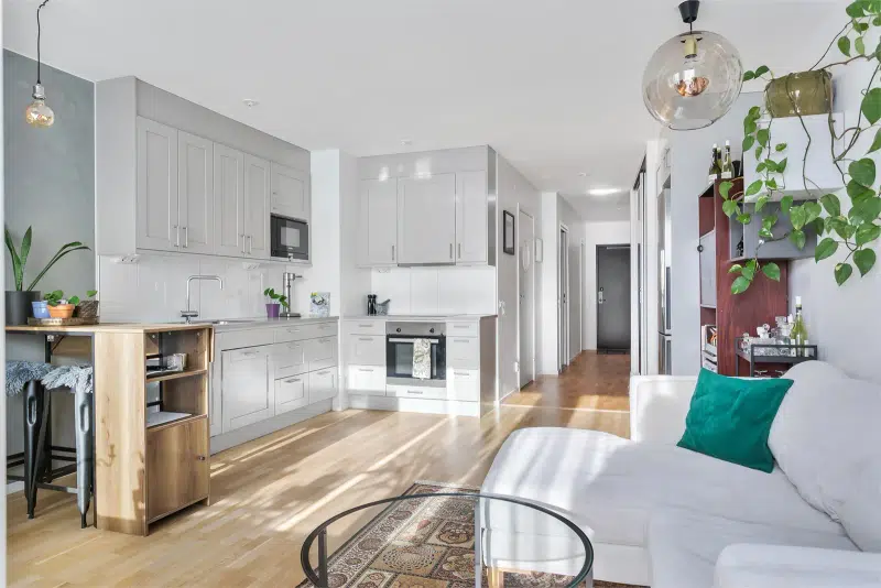 Apartment, 2 rooms, 46 m²