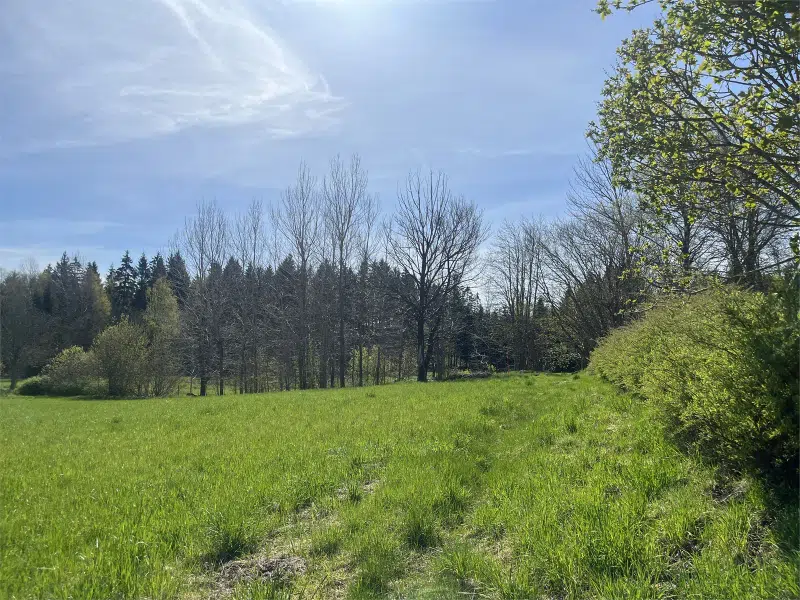 Land / plot in Tanum