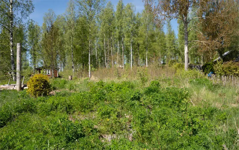 Land / plot in Skinnskatteberg