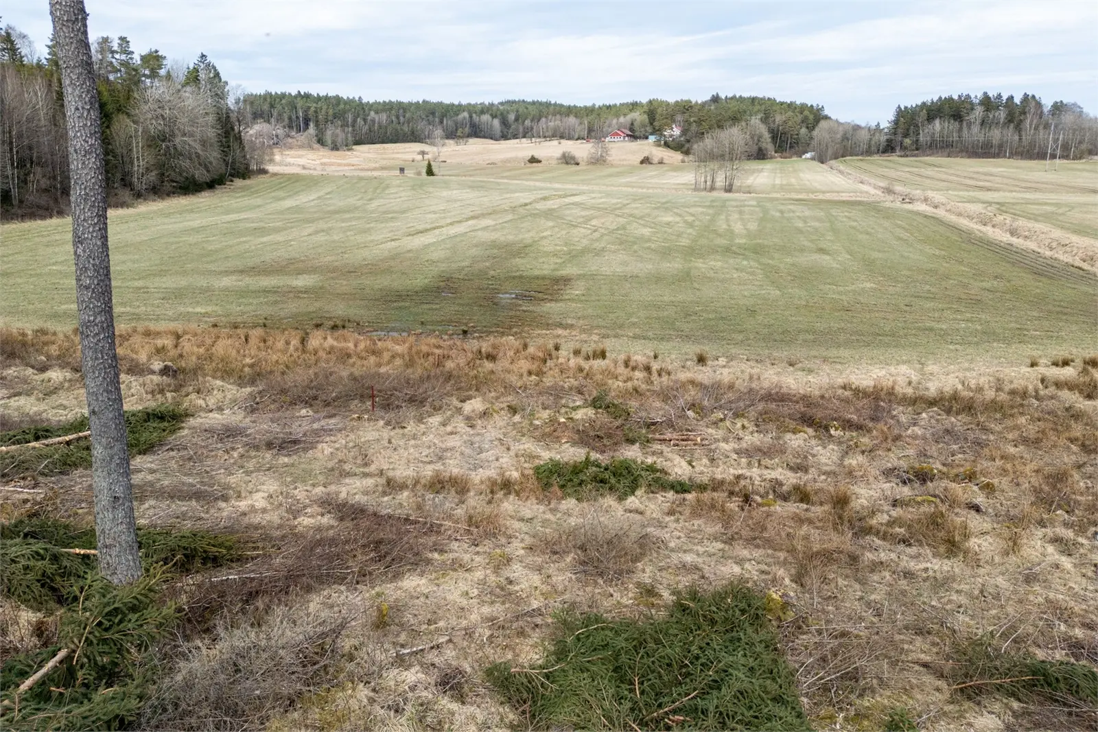 Bild 1 av 6 på Svenstorp 1:177-1:179