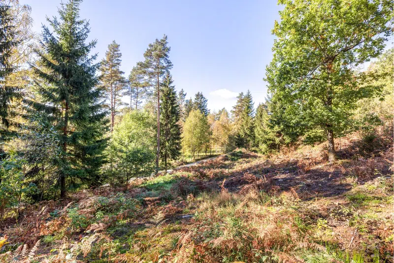 Land / plot in Härryda