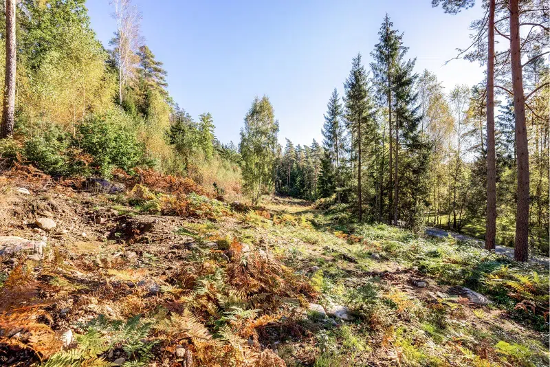 Land / plot in Härryda