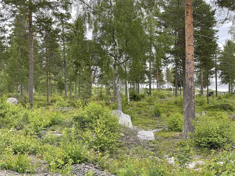 Tomt / mark i Haparanda