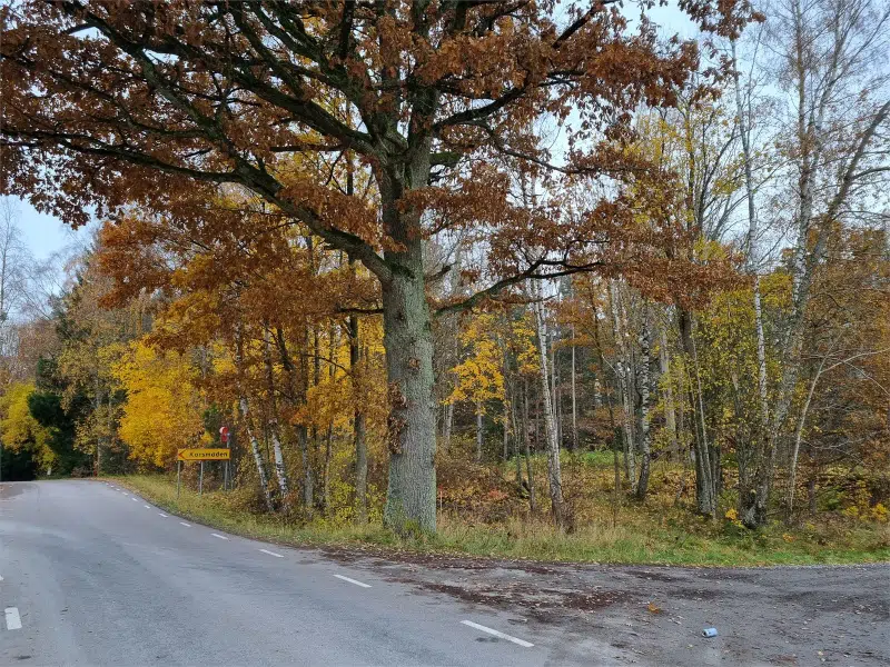 Gård i Vara
