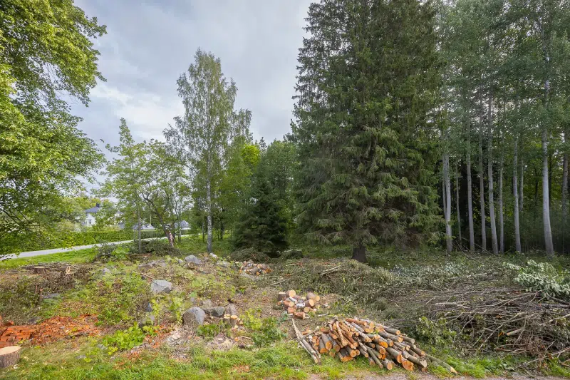 Land / plot in Älvkarleby
