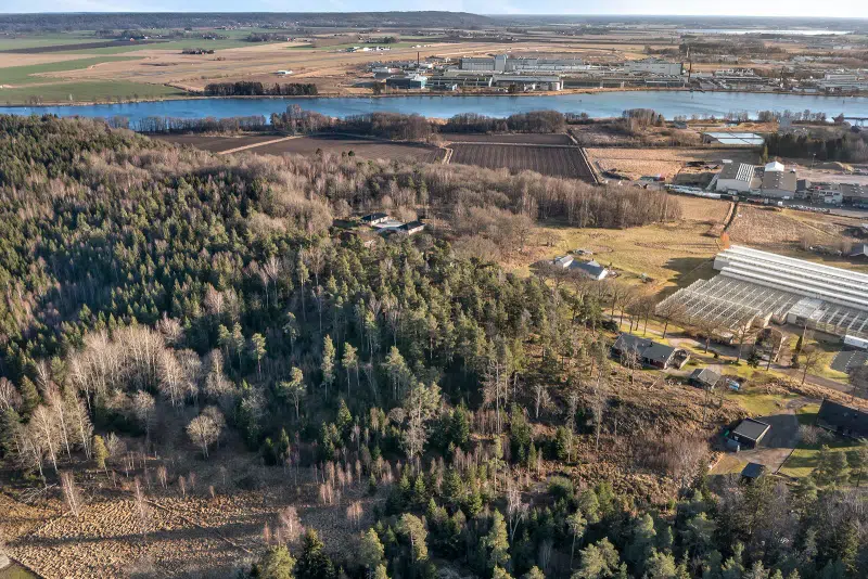 Land / plot