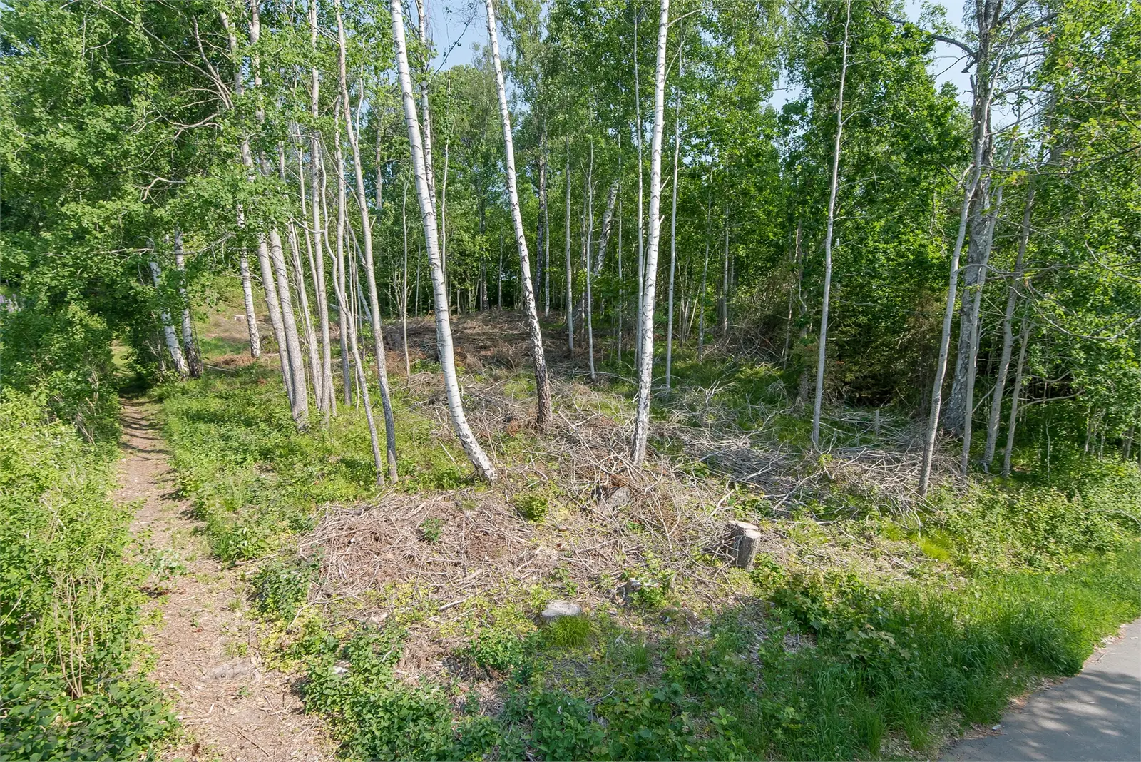 Image 1 of 6 of Björkängsvägen 39